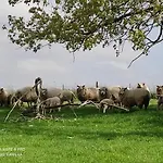 La Bergerie * La Bruyere