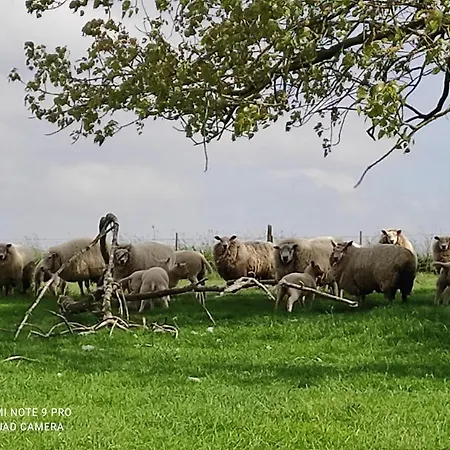 La Bergerie * La Bruyere