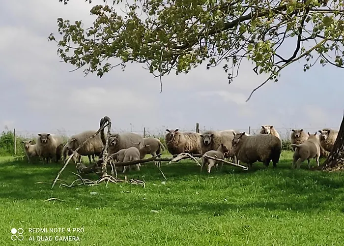 La Bergerie * La Bruyere